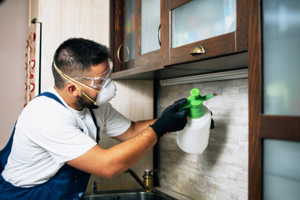 Best Mosquito Control Services  in Dyersville, IA