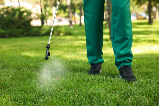 Trusted Dyersville, IA Pest Control Experts